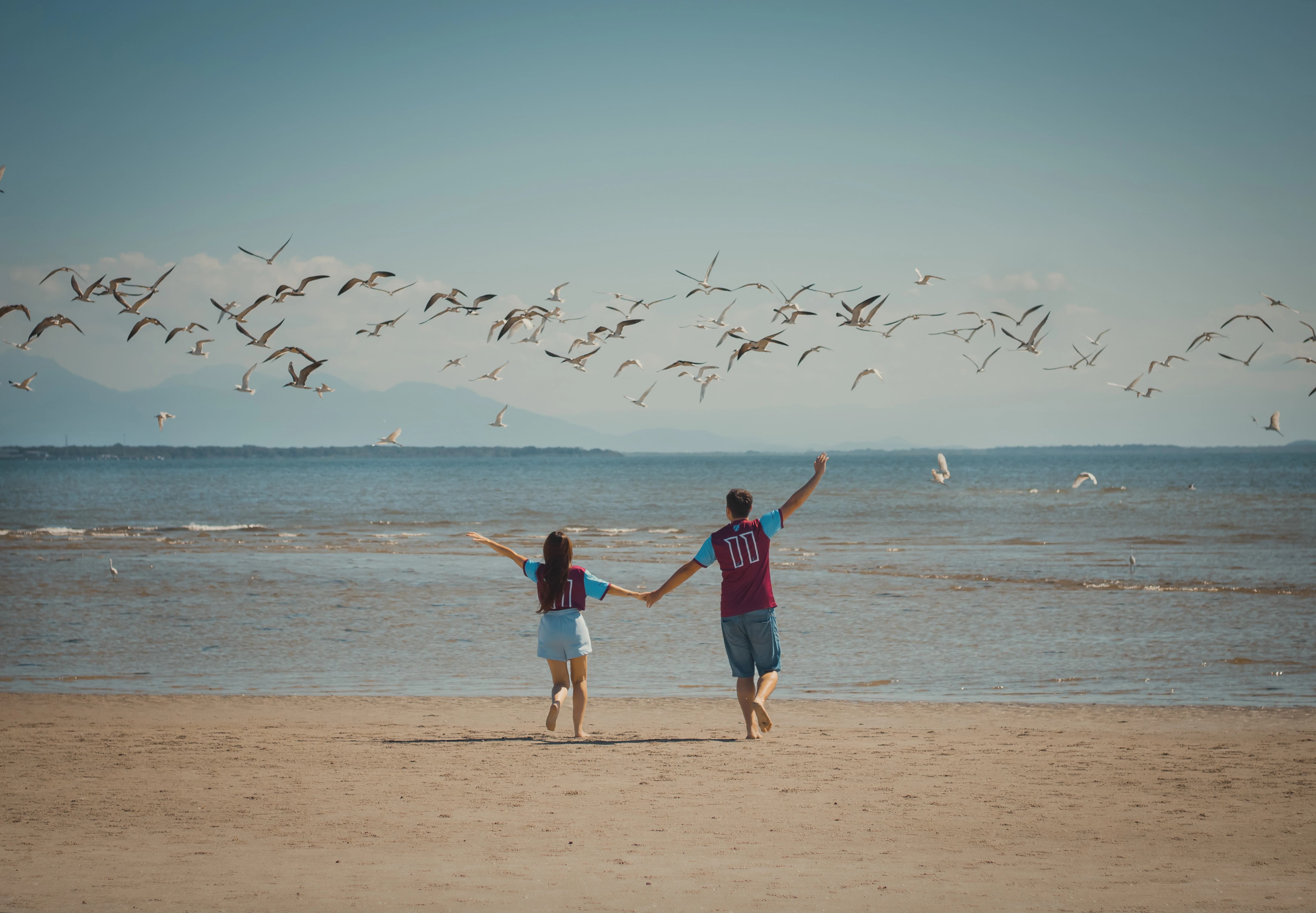 Os noivos estão na praia, descalços na areia, de mãos dadas e com os braços abertos, em pose de comemoração. Acima deles, vários pássaros voam pelo céu.